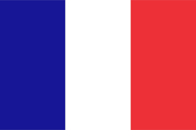 Image de la langue